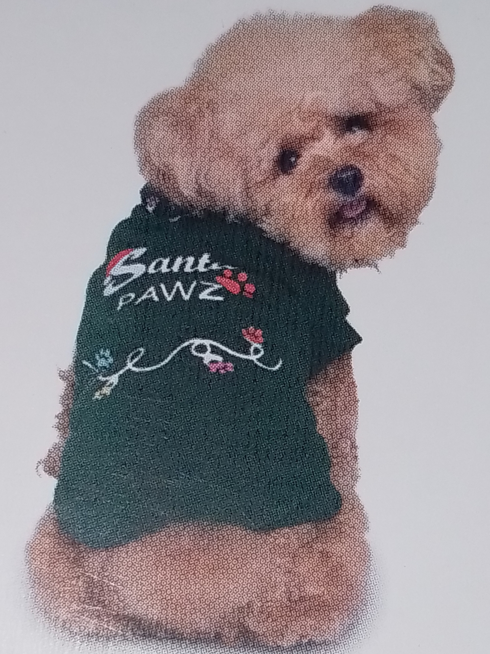 Santa Paws Holiday Pet Sweatshirt - (Black)